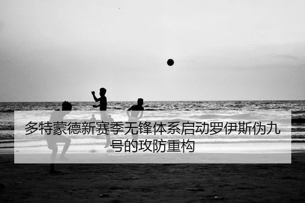 duo-te-meng-de-xin-sai-ji-wu-feng-ti-xi-qi-dong-luo-yi-si-wei-jiu-hao-de-gong-fang-zhong-gou-2-517.jpg